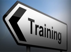 training 300x220 - Custom Training and Mentoring