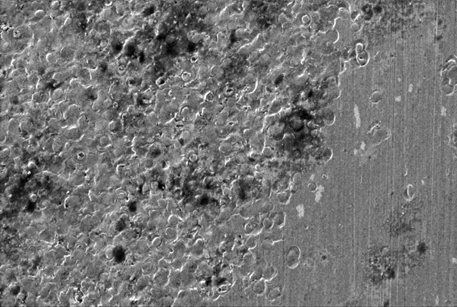 Continual Bearing Failures on Your Drives? The Cause Might Surprise You