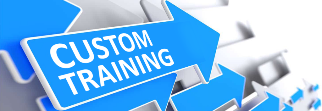 customTraining 1024x353 - Custom Training and Mentoring