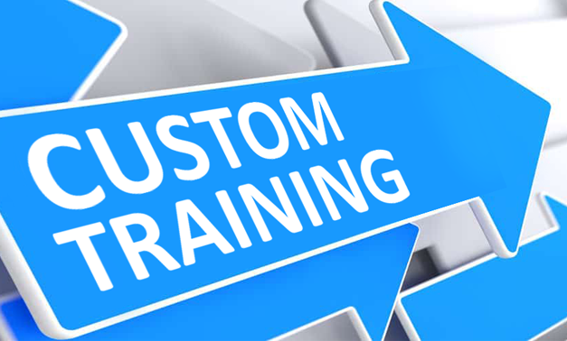 customTraining e1707410618366 - Custom Training and Mentoring